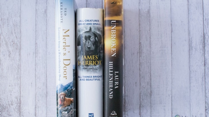 6 Non-fiction Books that Read Like Novels | MindJoggle.com